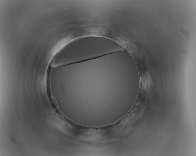 X0000113880292200910081752