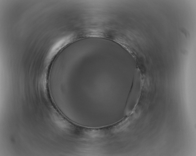 X0000113880293200910081752