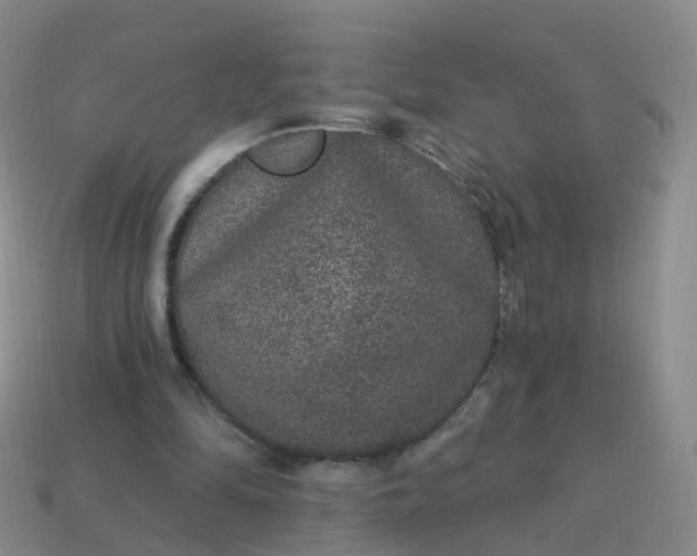 X0000113880294200910081752