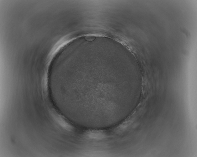 X0000113880296200910081752