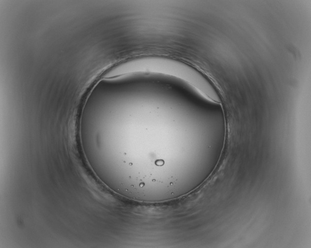 X0000113880297200910081752