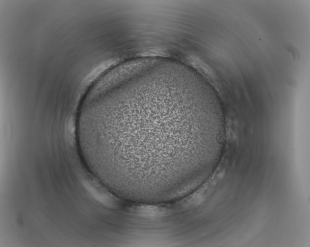 X0000113880298200910081752