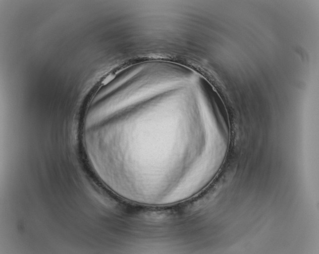 X0000113880299200910081752