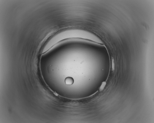 X0000113880300200910081752