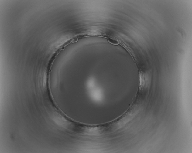 X0000113880301200910081752