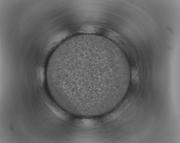 X0000113880302200910081752