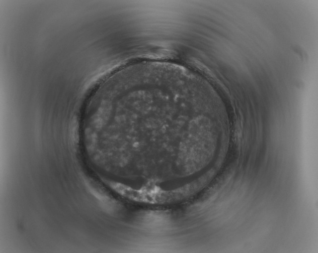 X0000113880303200910081752