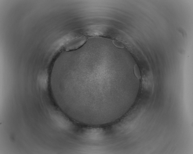 X0000113880304200910081752