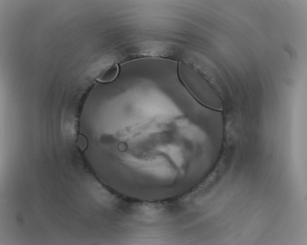 X0000113880305200910081752