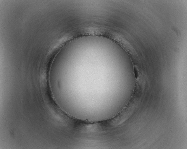 X0000113880306200910081752