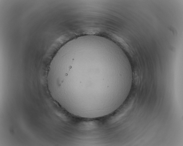 X0000113880307200910081752