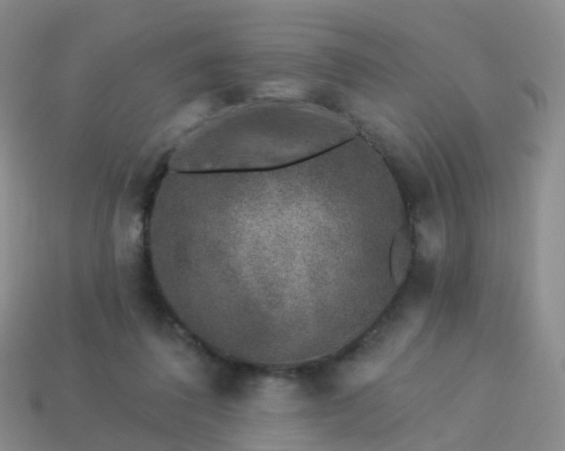 X0000113880308200910081752