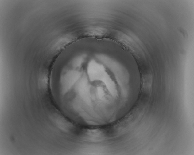 X0000113880309200910081752