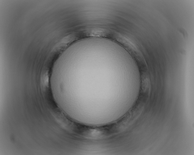 X0000113880310200910081752