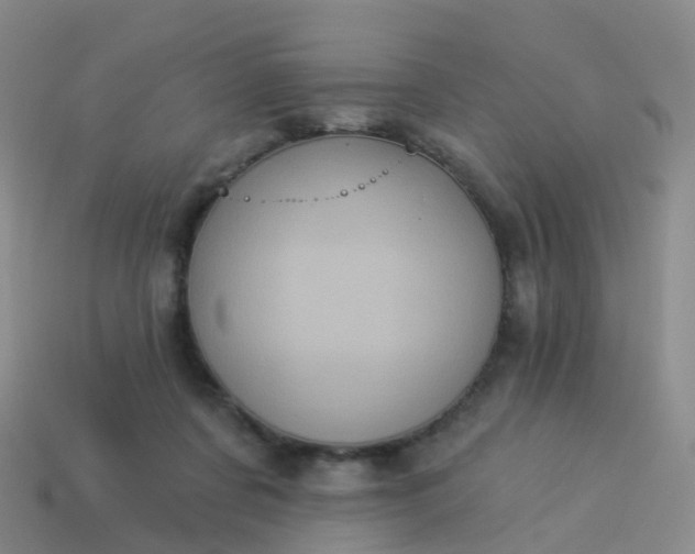 X0000113880311200910081752