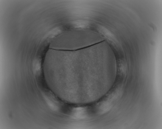 X0000113880312200910081752