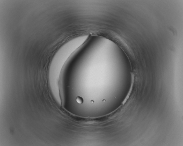 X0000113880313200910081752