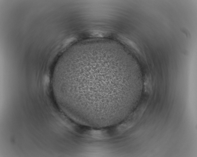 X0000113880314200910081752