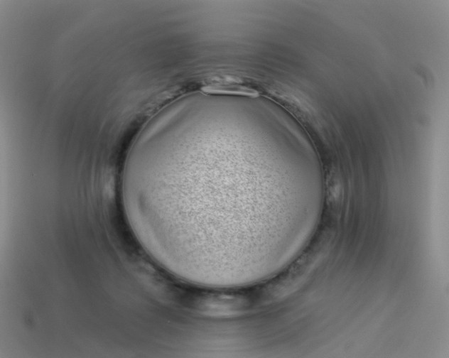 X0000113880315200910081752