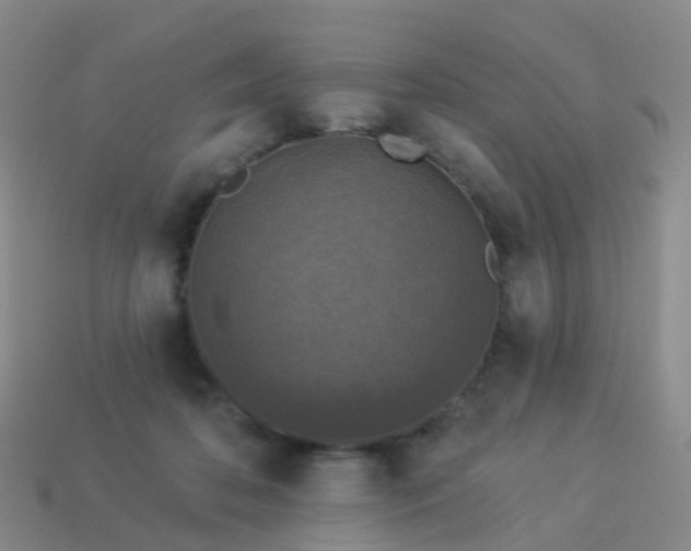 X0000113880316200910081752