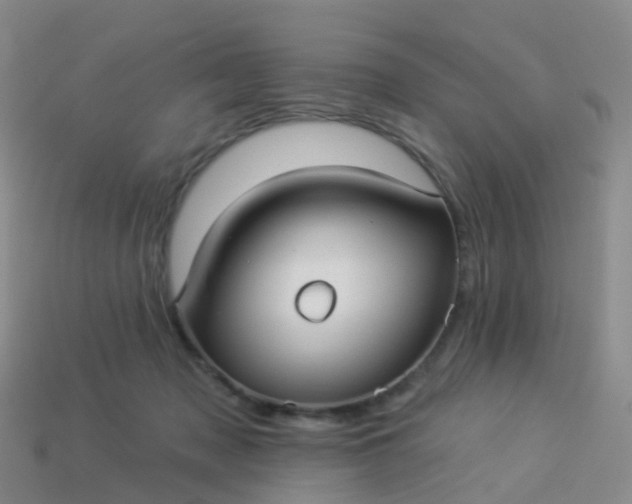 X0000113880317200910081752