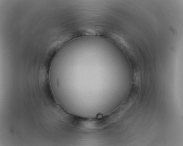 X0000113880318200910081752