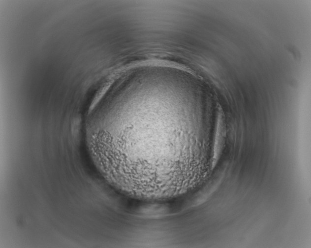 X0000113880319200910081752