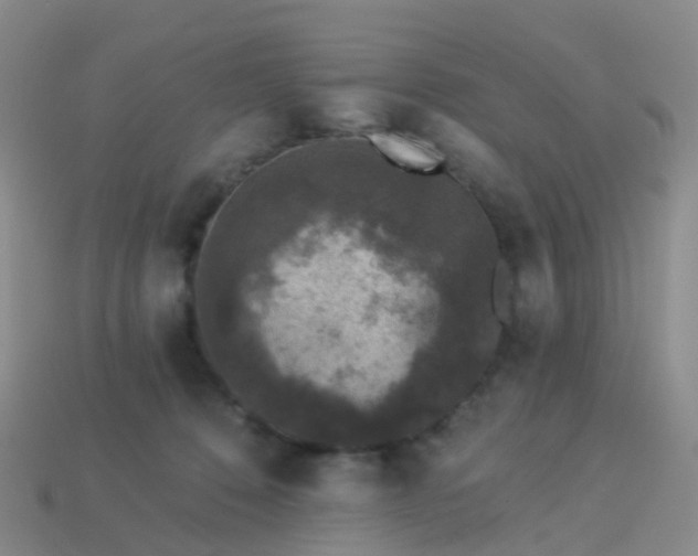 X0000113880320200910081752