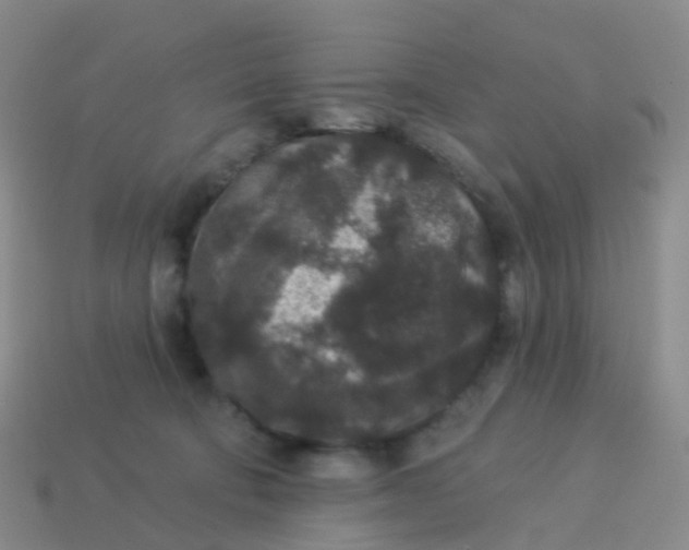 X0000113880322200910081752