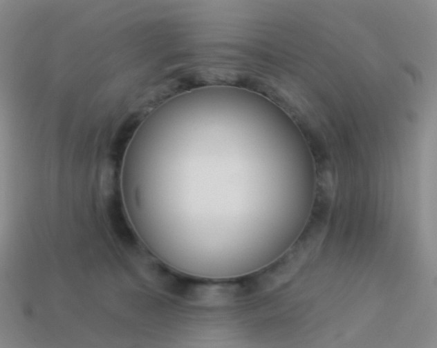 X0000113880323200910081752