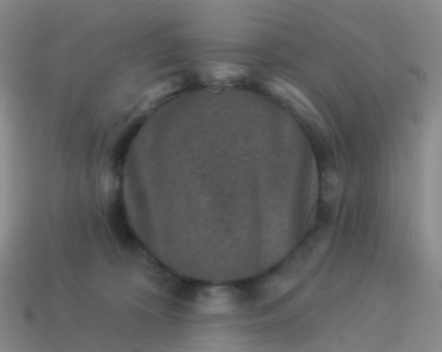 X0000113880324200910081752