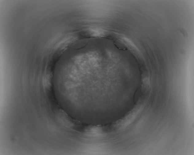 X0000113880325200910081752