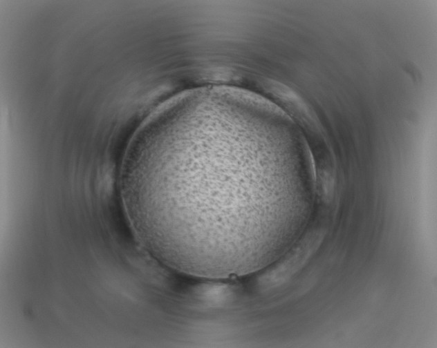 X0000113880326200910081752