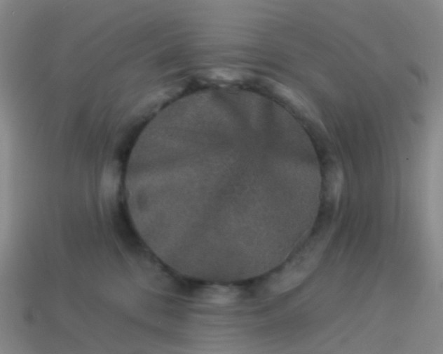 X0000113880328200910081752