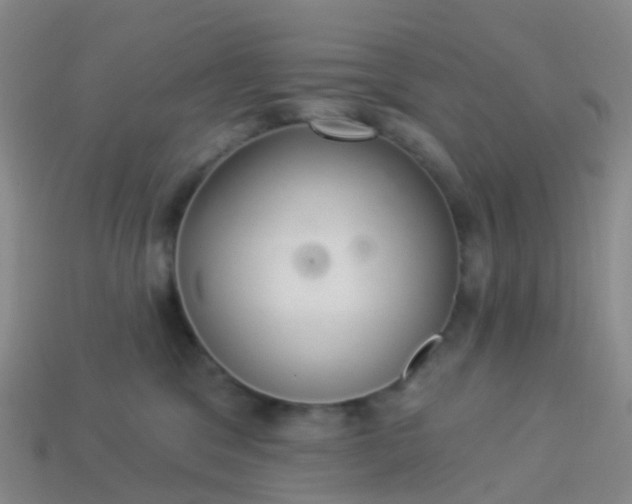 X0000113880329200910081752