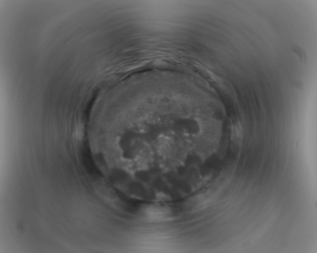 X0000113880331200910081752