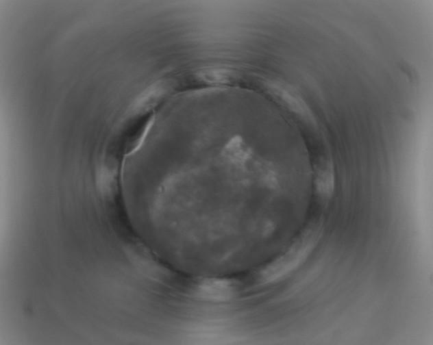 X0000113880332200910081752