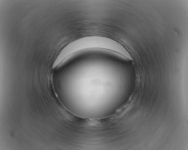 X0000113880333200910081752