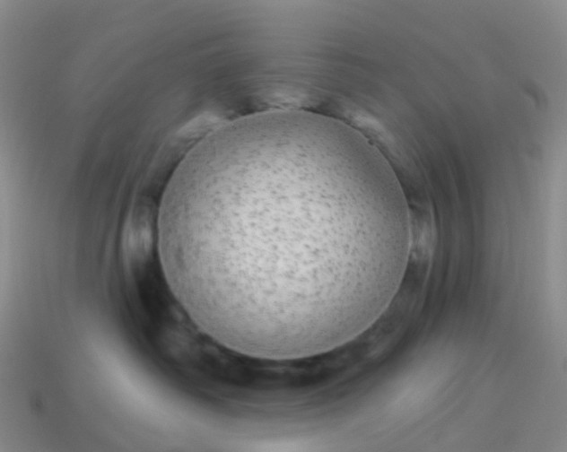 X0000113880334200910081752