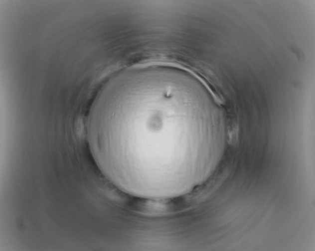 X0000113880335200910081752