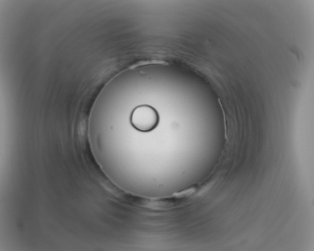 X0000113880336200910081752