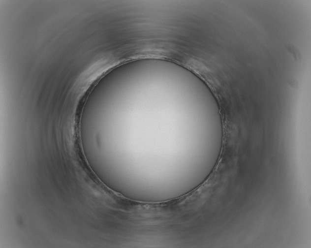 X0000113880338200910081751