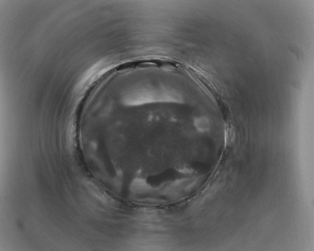 X0000113880339200910081751