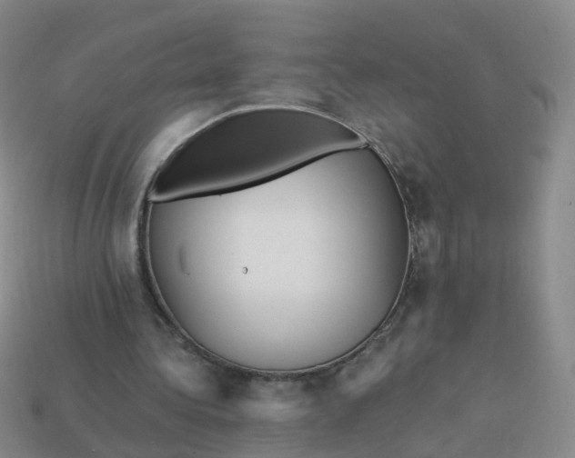 X0000113880340200910081751