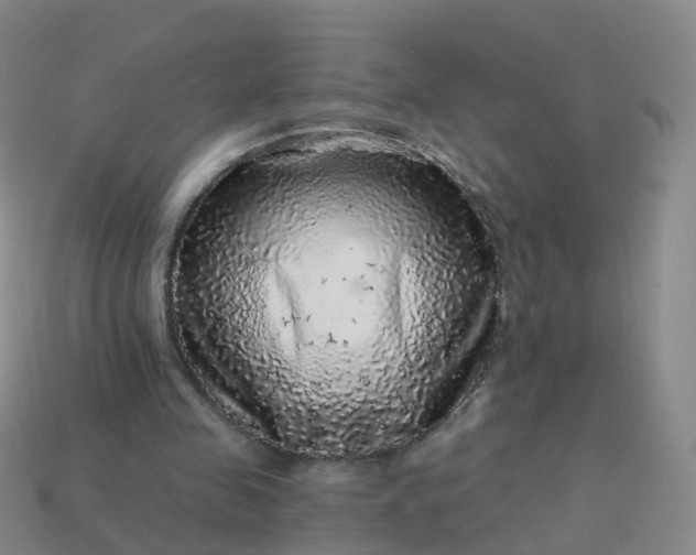 X0000113880341200910081751