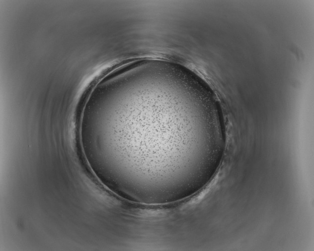 X0000113880342200910081751