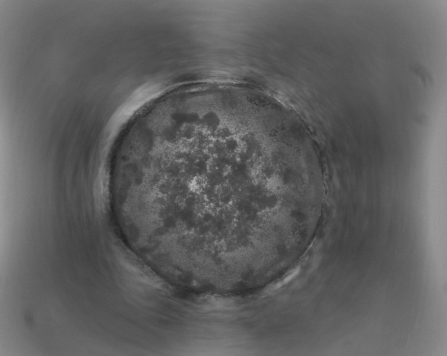 X0000113880343200910081751