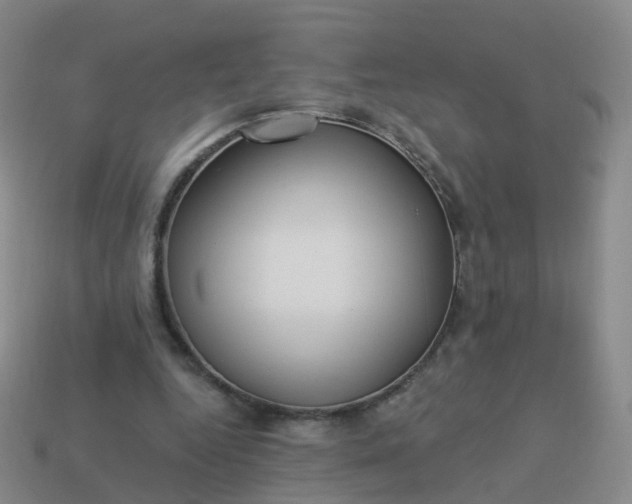 X0000113880344200910081751