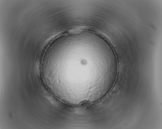 X0000113880345200910081751