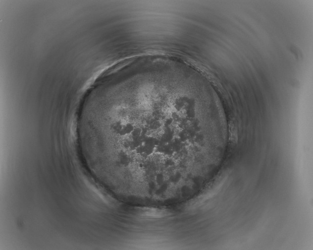 X0000113880347200910081751